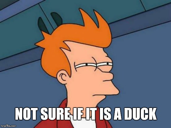 Futurama Fry Meme | NOT SURE IF IT IS A DUCK | image tagged in memes,futurama fry | made w/ Imgflip meme maker