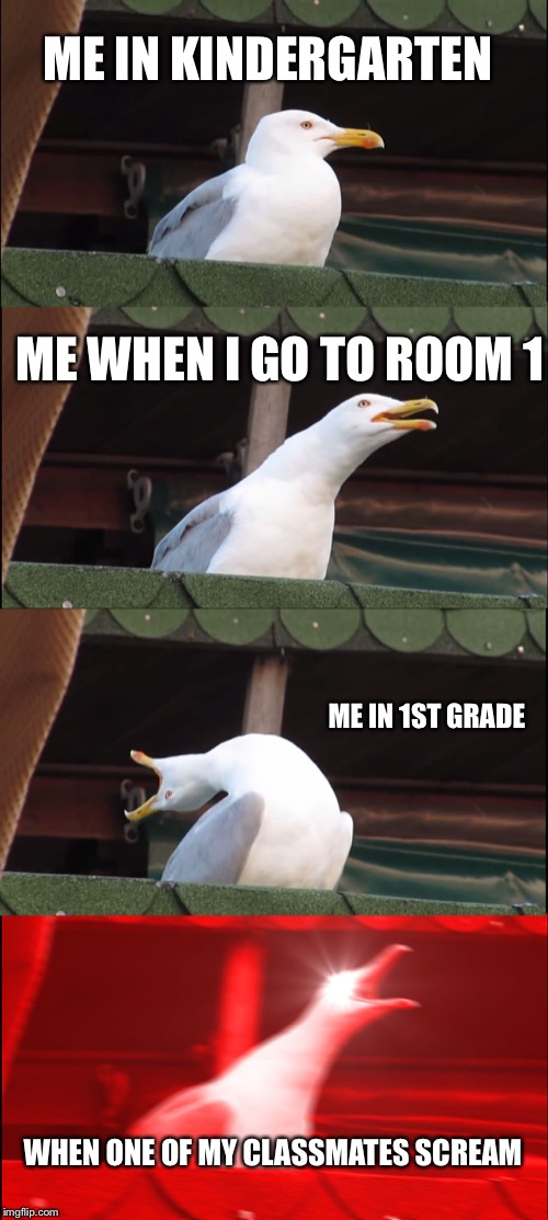 Inhaling Seagull Meme | ME IN KINDERGARTEN; ME WHEN I GO TO ROOM 1; ME IN 1ST GRADE; WHEN ONE OF MY CLASSMATES SCREAM | image tagged in memes,inhaling seagull | made w/ Imgflip meme maker