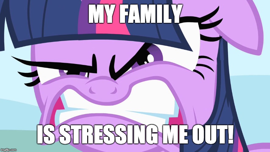 Everything they say gets on my nerves! | MY FAMILY; IS STRESSING ME OUT! | image tagged in angry twilight,memes,angry,family,stress | made w/ Imgflip meme maker