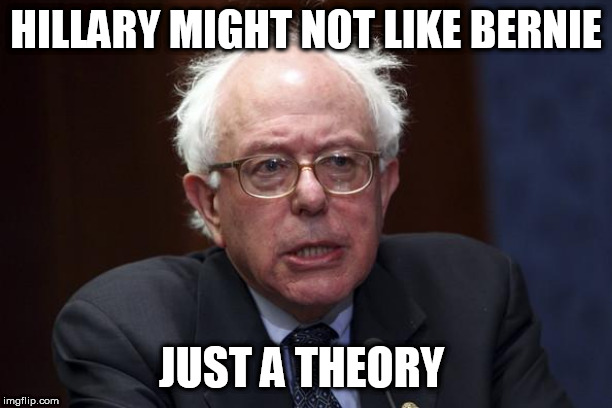 Bernie Sanders | HILLARY MIGHT NOT LIKE BERNIE; JUST A THEORY | image tagged in bernie sanders,hillary clinton | made w/ Imgflip meme maker