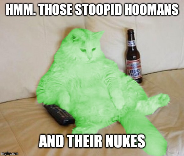 RayCat Chillin' | HMM. THOSE STOOPID HOOMANS AND THEIR NUKES | image tagged in raycat chillin' | made w/ Imgflip meme maker