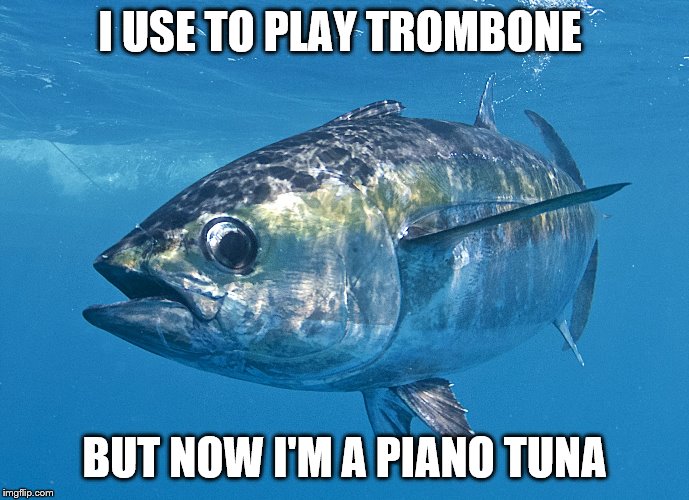 Tuna | I USE TO PLAY TROMBONE; BUT NOW I'M A PIANO TUNA | image tagged in tuna fish,funny meme,funny memes,funny fish | made w/ Imgflip meme maker