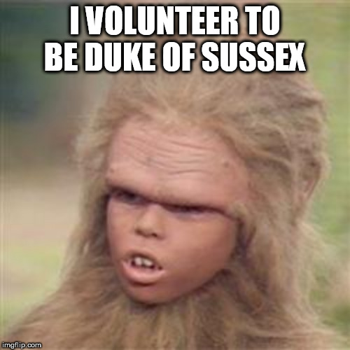 Chaka 2020 | I VOLUNTEER TO BE DUKE OF SUSSEX | image tagged in chaka,megxit | made w/ Imgflip meme maker