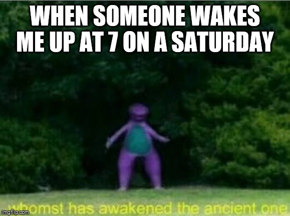 Whomst has awakened the ancient one | WHEN SOMEONE WAKES ME UP AT 7 ON A SATURDAY | image tagged in whomst has awakened the ancient one | made w/ Imgflip meme maker