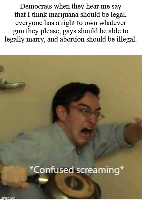 I'm A Proud Libertarian #TaxationIsTheft | Democrats when they hear me say that I think marijuana should be legal, everyone has a right to own whatever gun they please, gays should be able to legally marry, and abortion should be illegal. | image tagged in confused screaming | made w/ Imgflip meme maker