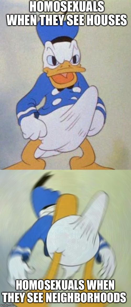 donald duck boner | HOMOSEXUALS WHEN THEY SEE HOUSES; HOMOSEXUALS WHEN THEY SEE NEIGHBORHOODS | image tagged in donald duck boner,no offense | made w/ Imgflip meme maker