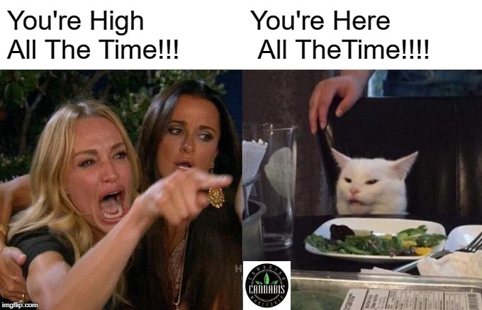 Woman Yelling At Cat | You're High All The Time!!! You're Here
 All TheTime!!!! | image tagged in memes,woman yelling at cat | made w/ Imgflip meme maker
