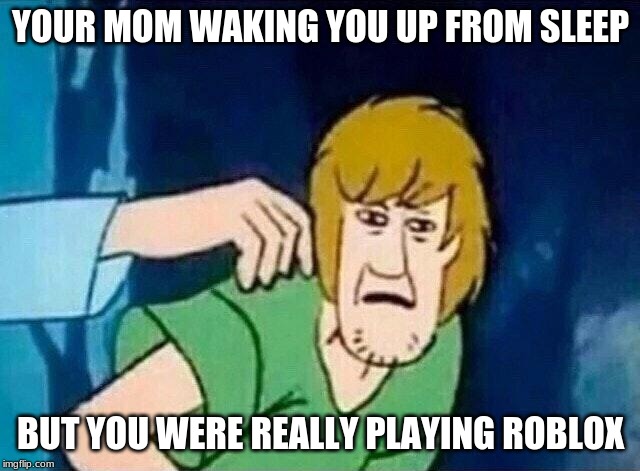 Scooby Doo Roblox Meme