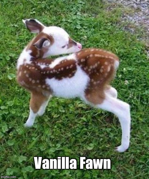 Vanilla Fawn | made w/ Imgflip meme maker