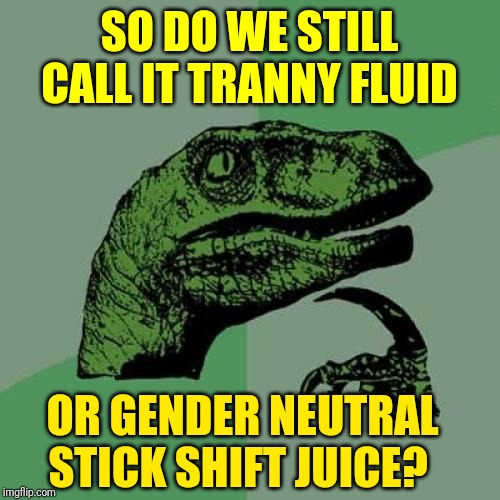 Philosoraptor Meme | SO DO WE STILL CALL IT TRANNY FLUID; OR GENDER NEUTRAL STICK SHIFT JUICE? | image tagged in memes,philosoraptor | made w/ Imgflip meme maker