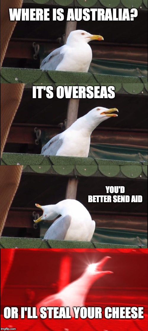 WHERE IS AUSTRALIA? IT'S OVERSEAS YOU'D BETTER SEND AID OR I'LL STEAL YOUR CHEESE | image tagged in memes,inhaling seagull | made w/ Imgflip meme maker
