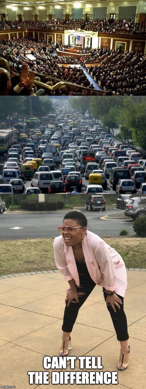 Gridlock. | CAN'T TELL THE DIFFERENCE | image tagged in traffic,congress,black woman squinting,satire,memes | made w/ Imgflip meme maker