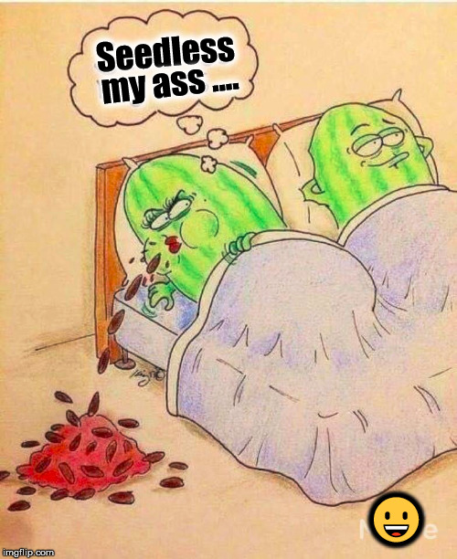 Seedless; my ass .... 😀 | made w/ Imgflip meme maker