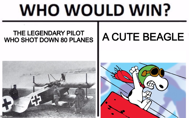 Tell us what you think in the comments! | THE LEGENDARY PILOT WHO SHOT DOWN 80 PLANES; A CUTE BEAGLE | image tagged in memes,who would win,pilot,snoopy,red baron | made w/ Imgflip meme maker