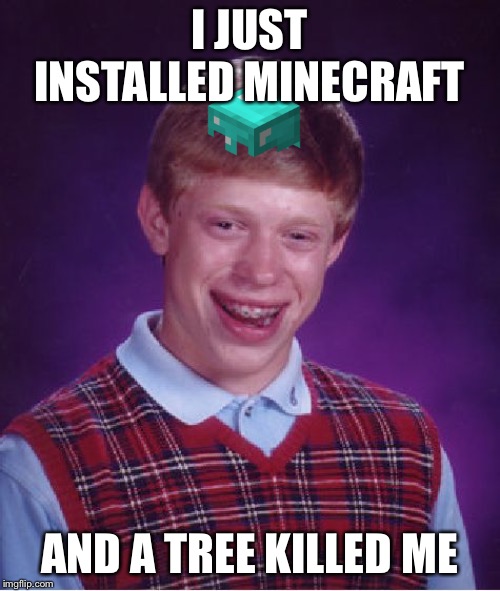 Bad Luck Brian Meme | I JUST INSTALLED MINECRAFT; AND A TREE KILLED ME | image tagged in memes,bad luck brian | made w/ Imgflip meme maker
