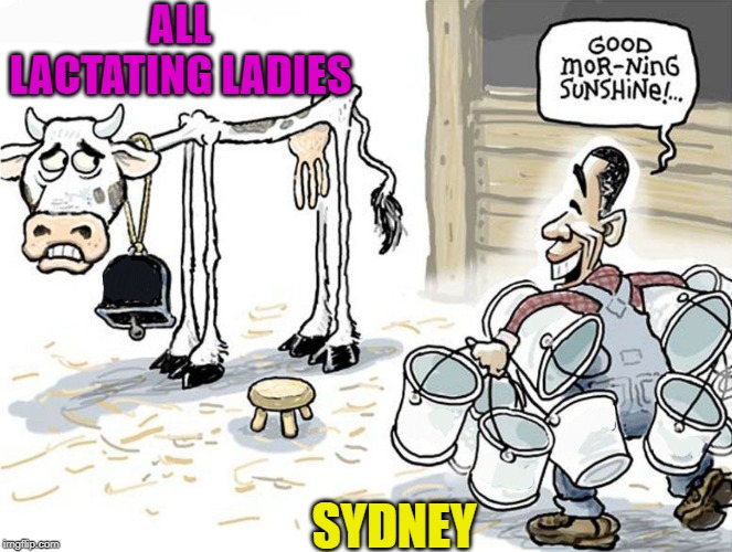 milking the cow | ALL LACTATING LADIES SYDNEY | image tagged in milking the cow | made w/ Imgflip meme maker