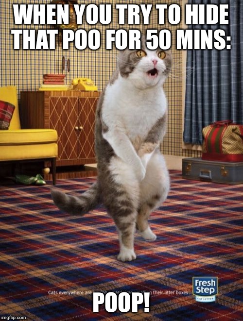 Gotta Go Cat | WHEN YOU TRY TO HIDE THAT POO FOR 50 MINS:; POOP! | image tagged in memes,gotta go cat | made w/ Imgflip meme maker