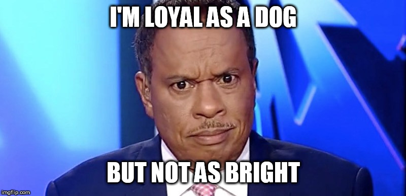 juan williams | I'M LOYAL AS A DOG BUT NOT AS BRIGHT | image tagged in juan williams | made w/ Imgflip meme maker