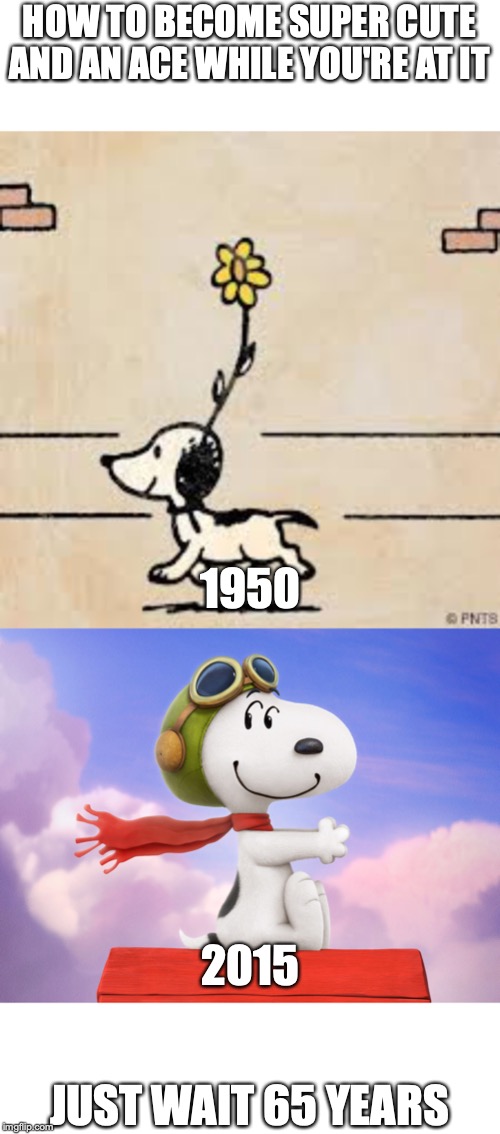 how to become the cutest, most famous person (or dog) around | HOW TO BECOME SUPER CUTE AND AN ACE WHILE YOU'RE AT IT; 1950; 2015; JUST WAIT 65 YEARS | image tagged in memes,snoopy,peanuts,cute,dog | made w/ Imgflip meme maker