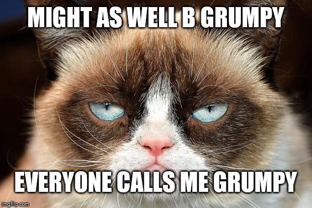 Grumpy Cat Not Amused Meme | MIGHT AS WELL B GRUMPY; EVERYONE CALLS ME GRUMPY | image tagged in memes,grumpy cat not amused,grumpy cat | made w/ Imgflip meme maker