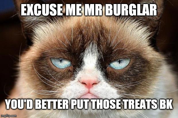 Grumpy Cat Not Amused Meme | EXCUSE ME MR BURGLAR; YOU'D BETTER PUT THOSE TREATS BK | image tagged in memes,grumpy cat not amused,grumpy cat | made w/ Imgflip meme maker