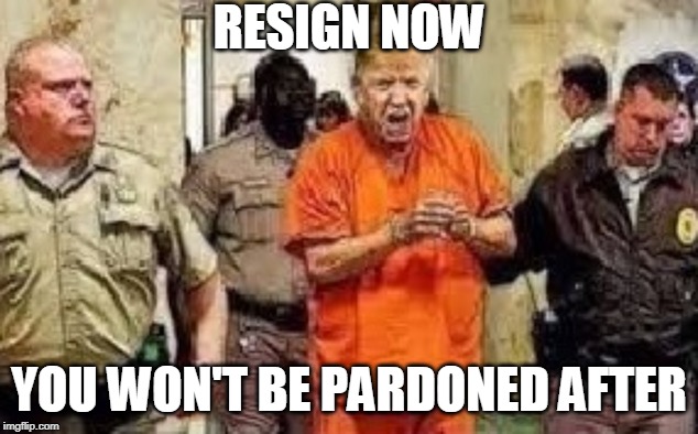 RESIGN NOW | RESIGN NOW; YOU WON'T BE PARDONED AFTER | image tagged in trump,impeach,resign,no pardon,vote out,criminal | made w/ Imgflip meme maker