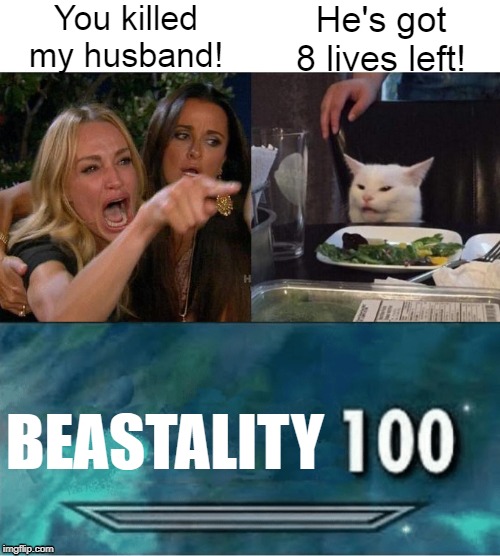 Hol up | You killed my husband! He's got 8 lives left! BEASTALITY | image tagged in skyrim 100 blank,memes,woman yelling at cat,fallout hold up | made w/ Imgflip meme maker