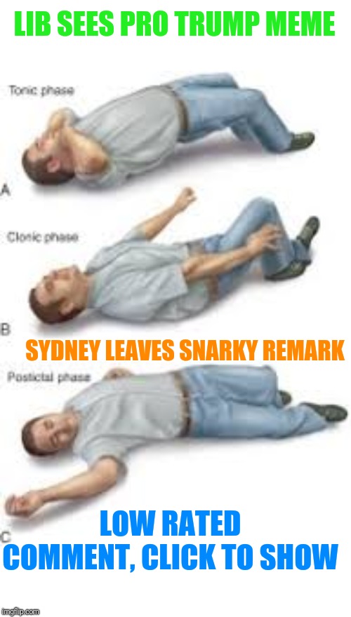 Seizure , dies | LIB SEES PRO TRUMP MEME SYDNEY LEAVES SNARKY REMARK LOW RATED COMMENT, CLICK TO SHOW | image tagged in seizure  dies | made w/ Imgflip meme maker