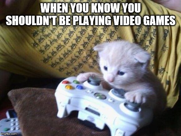 cute kitty on xbox | WHEN YOU KNOW YOU SHOULDN'T BE PLAYING VIDEO GAMES | image tagged in cute kitty on xbox | made w/ Imgflip meme maker
