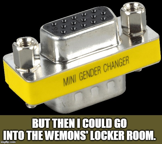 Gender Bender | BUT THEN I COULD GO INTO THE WEMONS' LOCKER ROOM. | image tagged in gender bender | made w/ Imgflip meme maker