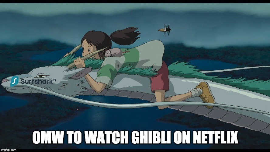 the future is now old man | image tagged in studio ghibli,streaming,memes,funny memes,lol so funny,netflix | made w/ Imgflip meme maker