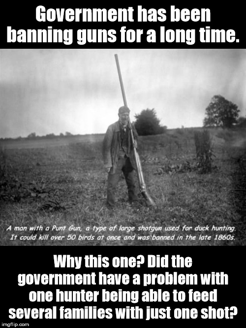 Violating Rights Is Nothing New For Government | Government has been banning guns for a long time. Why this one? Did the government have a problem with one hunter being able to feed several families with just one shot? | image tagged in hunter,gun control | made w/ Imgflip meme maker