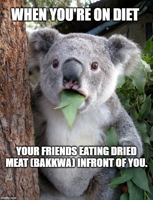 Suprised Koala | WHEN YOU'RE ON DIET; YOUR FRIENDS EATING DRIED MEAT (BAKKWA) INFRONT OF YOU. | image tagged in suprised koala | made w/ Imgflip meme maker