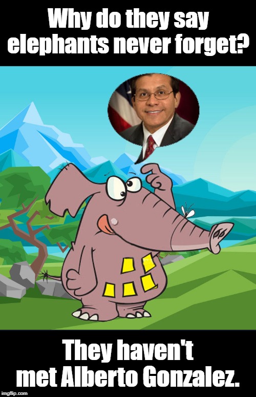 Elephant never forget | Why do they say elephants never forget? They haven't met Alberto Gonzalez. | image tagged in politics | made w/ Imgflip meme maker