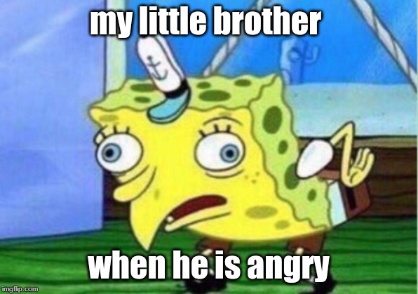 Mocking Spongebob | my little brother; when he is angry | image tagged in memes,mocking spongebob | made w/ Imgflip meme maker