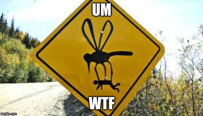 why does this exist | UM; WTF | image tagged in what,memes,mosquito,die | made w/ Imgflip meme maker
