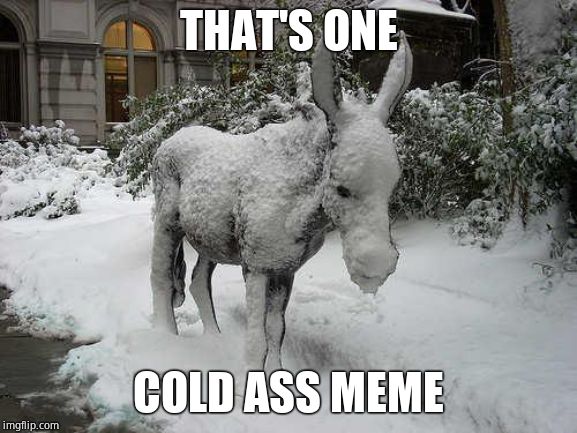 cold ass | THAT'S ONE COLD ASS MEME | image tagged in cold ass | made w/ Imgflip meme maker
