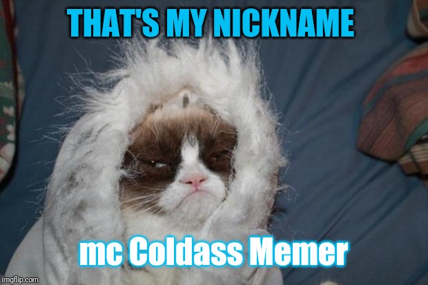 Cold grumpy cat  | THAT'S MY NICKNAME mc Coldass Memer | image tagged in cold grumpy cat | made w/ Imgflip meme maker