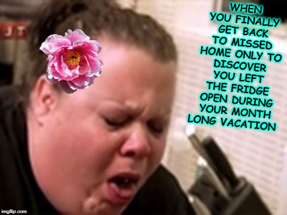 fridge left open whilst away on month's vacation | WHEN YOU FINALLY GET BACK TO MISSED HOME ONLY TO DISCOVER YOU LEFT THE FRIDGE OPEN DURING YOUR MONTH LONG VACATION | image tagged in fridge left open whilst away on month's vacation | made w/ Imgflip meme maker