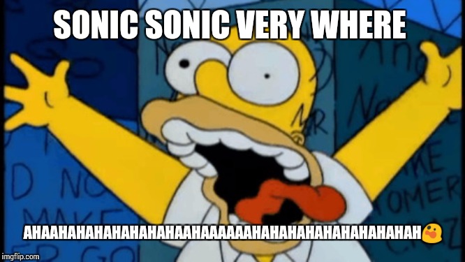 Homer crazy | SONIC SONIC VERY WHERE; AHAAHAHAHAHAHAHAHAAHAAAAAAHAHAHAHAHAHAHAHAHAH😲 | image tagged in homer crazy | made w/ Imgflip meme maker