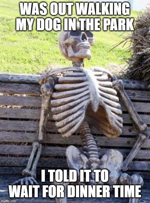 Waiting Skeleton Meme | WAS OUT WALKING MY DOG IN THE PARK I TOLD IT TO WAIT FOR DINNER TIME | image tagged in memes,waiting skeleton | made w/ Imgflip meme maker