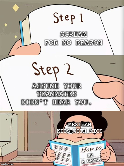 steven's rule book | SCREAM FOR NO REASON; ASSUME YOUR TEAMMATES DIDN'T HEAR YOU. MEXICAN KIDS WITH MICS; BE A GAMER | image tagged in steven's rule book | made w/ Imgflip meme maker