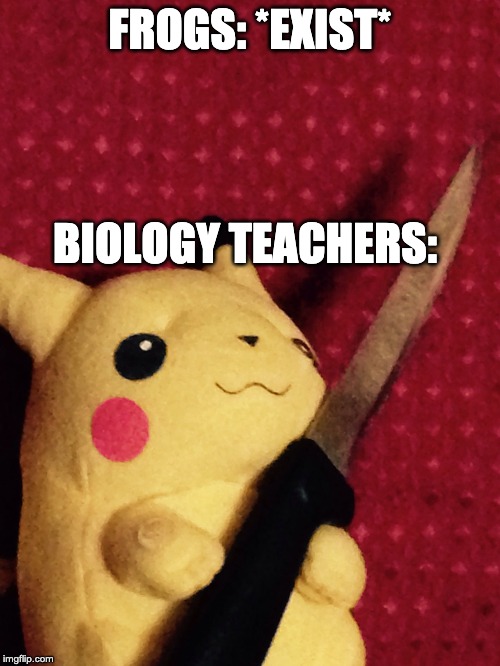 PIKACHU learned STAB! |  FROGS: *EXIST*; BIOLOGY TEACHERS: | image tagged in pikachu learned stab | made w/ Imgflip meme maker