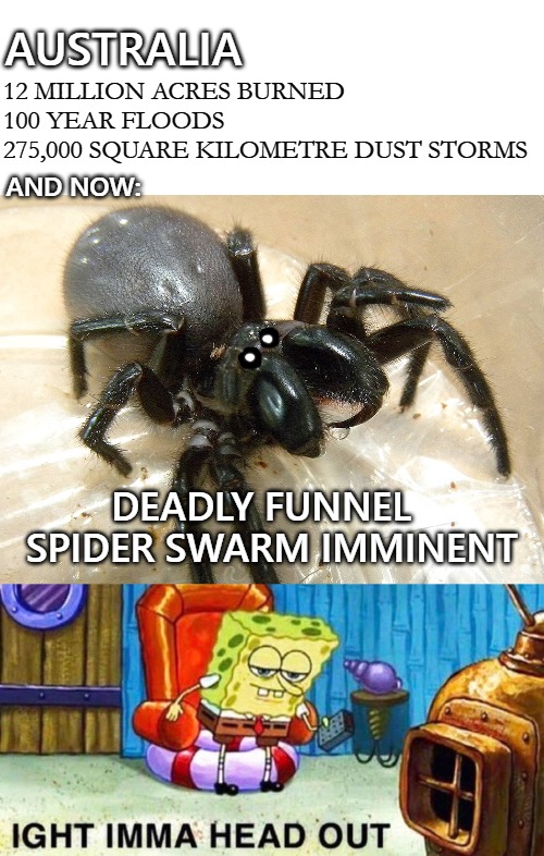 AUSTRALIA; 12 MILLION ACRES BURNED
100 YEAR FLOODS
275,000 SQUARE KILOMETRE DUST STORMS; AND NOW:; DEADLY FUNNEL 
 SPIDER SWARM IMMINENT | image tagged in australia | made w/ Imgflip meme maker