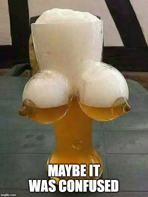 titties and beer | MAYBE IT WAS CONFUSED | image tagged in titties and beer | made w/ Imgflip meme maker