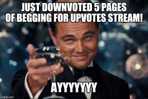 Leonardo Dicaprio Cheers Meme | JUST DOWNVOTED 5 PAGES OF BEGGING FOR UPVOTES STREAM! AYYYYYYY | image tagged in memes,leonardo dicaprio cheers | made w/ Imgflip meme maker