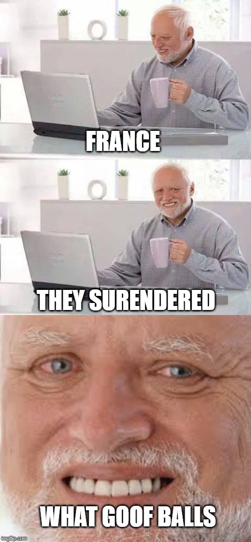 FRANCE; THEY SURENDERED; WHAT GOOF BALLS | image tagged in memes,hide the pain harold | made w/ Imgflip meme maker