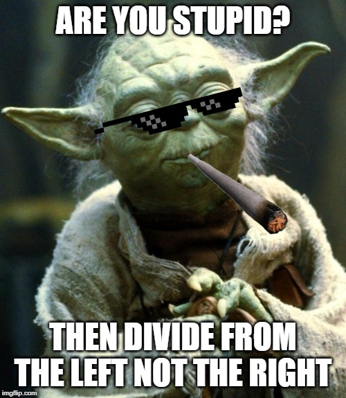 Star Wars Yoda | ARE YOU STUPID? THEN DIVIDE FROM THE LEFT NOT THE RIGHT | image tagged in memes,star wars yoda | made w/ Imgflip meme maker