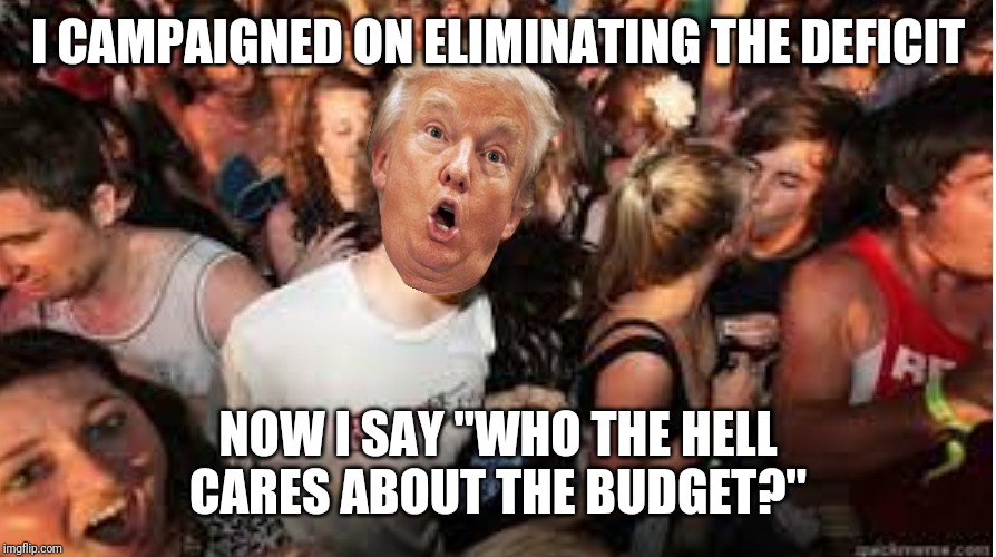 I will do everything in my power to make my shit sandwiches tolerable for my supporters | I CAMPAIGNED ON ELIMINATING THE DEFICIT; NOW I SAY "WHO THE HELL CARES ABOUT THE BUDGET?" | image tagged in suddenly clear donald | made w/ Imgflip meme maker