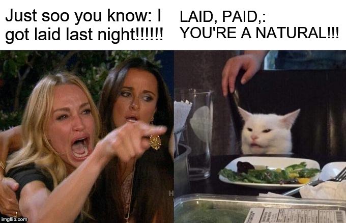 Woman Yelling At Cat | Just soo you know: I got laid last night!!!!!! LAID, PAID,: YOU'RE A NATURAL!!! | image tagged in memes,woman yelling at cat | made w/ Imgflip meme maker